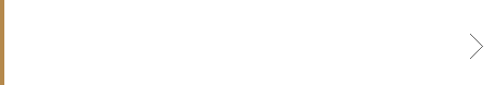NEW YORK INTERNATIONAL AUTO SHOW - ショー会場での「LF-Gh」そして来場者の反応は? -