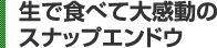 生で食べて大感動のスナップエンドウ 