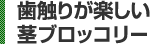 歯触りが楽しい茎ブロッコリー
