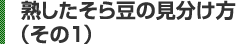熟したそら豆の見分け方（その1） 