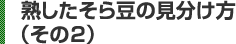 熟したそら豆の見分け方（その2）