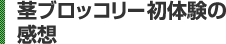 茎ブロッコリー初体験の感想 
