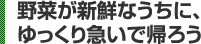 野菜が新鮮なうちに、ゆっくり急いで帰ろう 