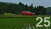 25
