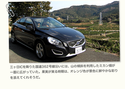 三ヶ日ICを降りた国道362号線沿いには、山の傾斜を利用したミカン畑が 一面に広がっていた。果実が実る時期は、オレンジ色が景色に鮮やかな彩りを添えてくれそうだ。