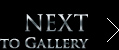 NEXT TO GALLERY