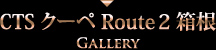 CTS クーペ Route2 箱根 GALLERY