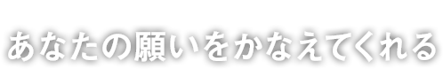 Chapter2 あなたの願いをかなえてくれる