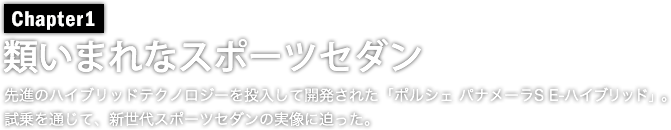 類いまれなスポーツセダン