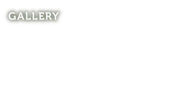 GALLERY モータージャーナリスト“藤トモ”と学ぶタイヤの重要性