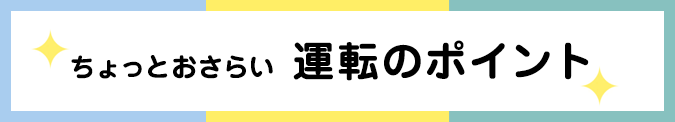 ナビゲーターはこの人