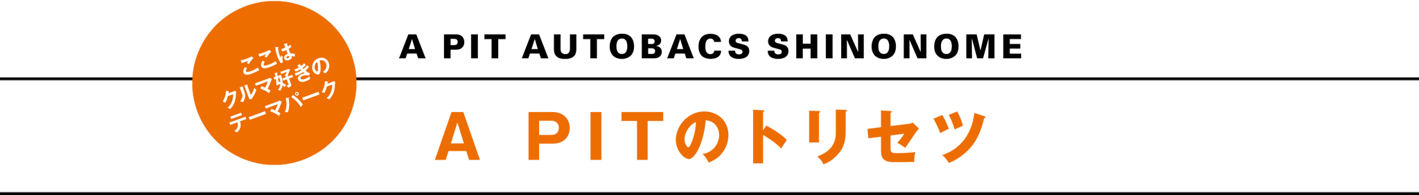 A PITのトリセツ