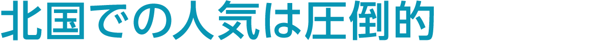 北国での人気は圧倒的