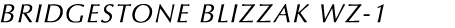 BRIDGESTONE BLIZZAKI WZ-1
