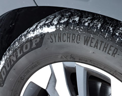 DUNLOP SYNCHRO WEATHER