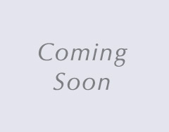 BRIDGESTONE ALENZA LX200