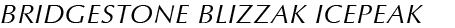 BRIDGESTONE BLIZZAK ICEPEAK