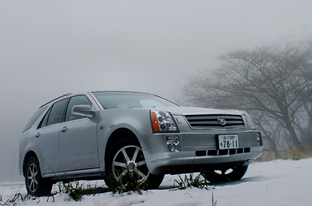 バカラ＊キャディラックストレイ バカラ＊キャディラックストレイ