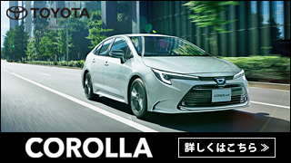 整備渡し)エストレヤ RS limited カワサキ 極上車