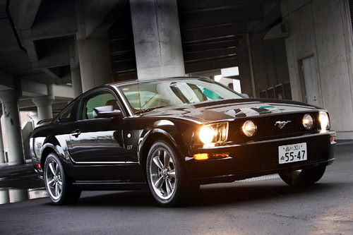 img_4698560daf6f3c488b55a47b6f