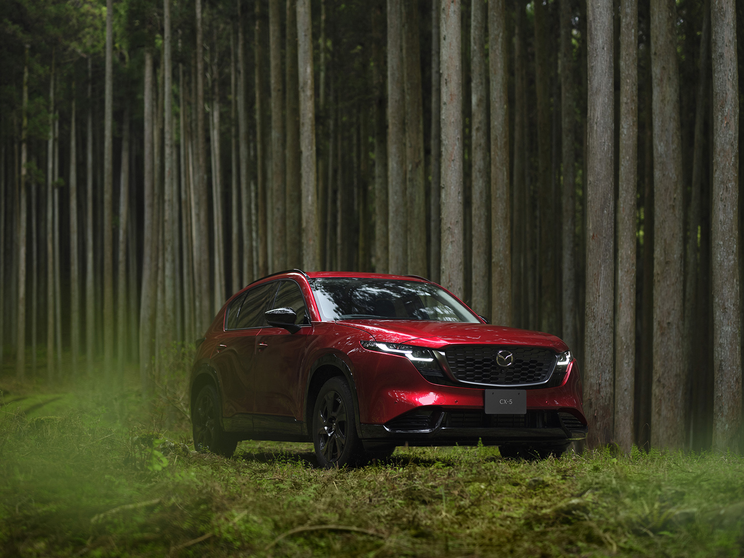 「RAV4」「CX-5」「CR-V」の新型がそろい踏み　国産ミドルサイズSUVの長所と短所