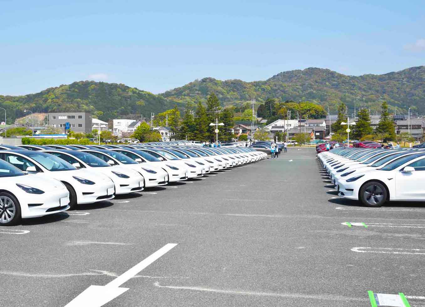 色別に駐車スペースが分けられた参加者のテスラ。最も多い色は白でした
