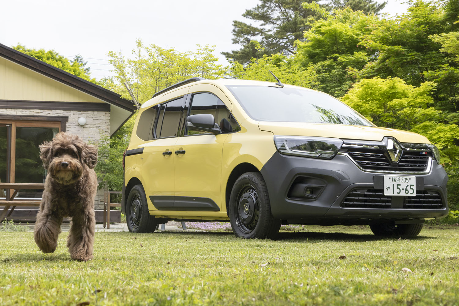RENAULT ルノーカングー 純正 オプションアクセサリー ホイール15インチ ルノーカングー 純正オプション アロイホイール