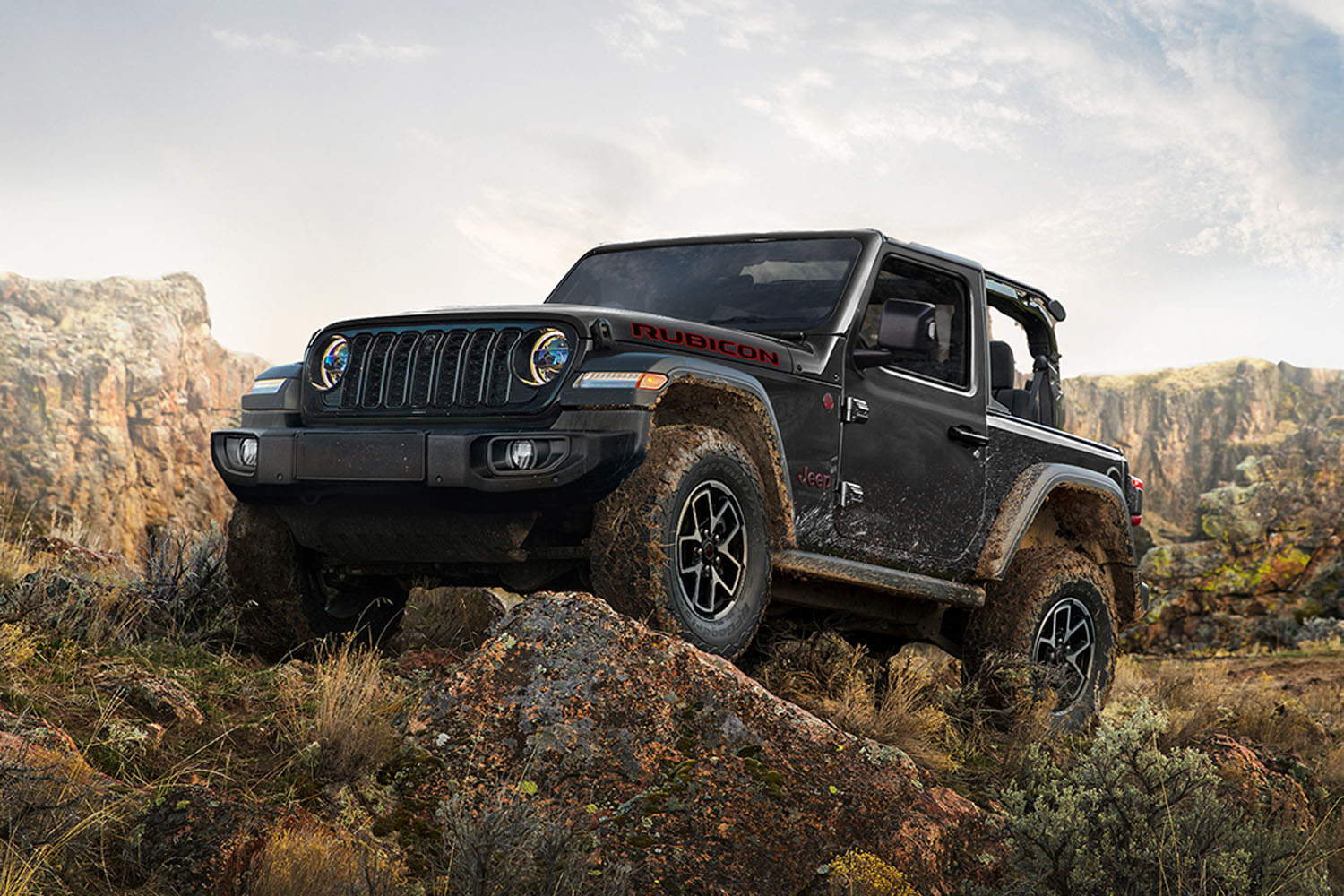 非売品　jeep 100台限定　BIG jeepダッグ ジープ、限定100台の「ラングラー アンリミテッド ルビコン