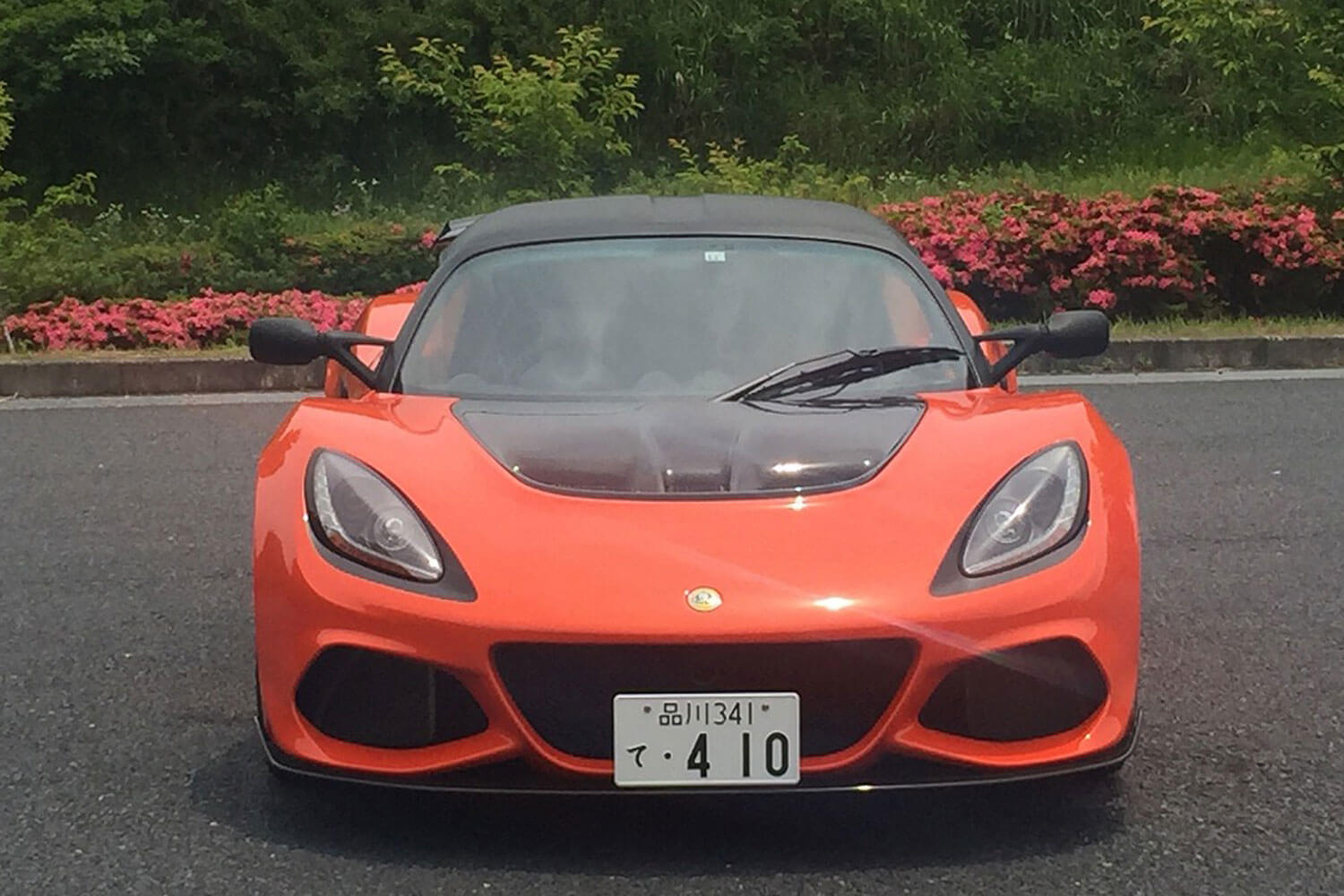 img_b1be9cedbd3249bea10a45e7f6