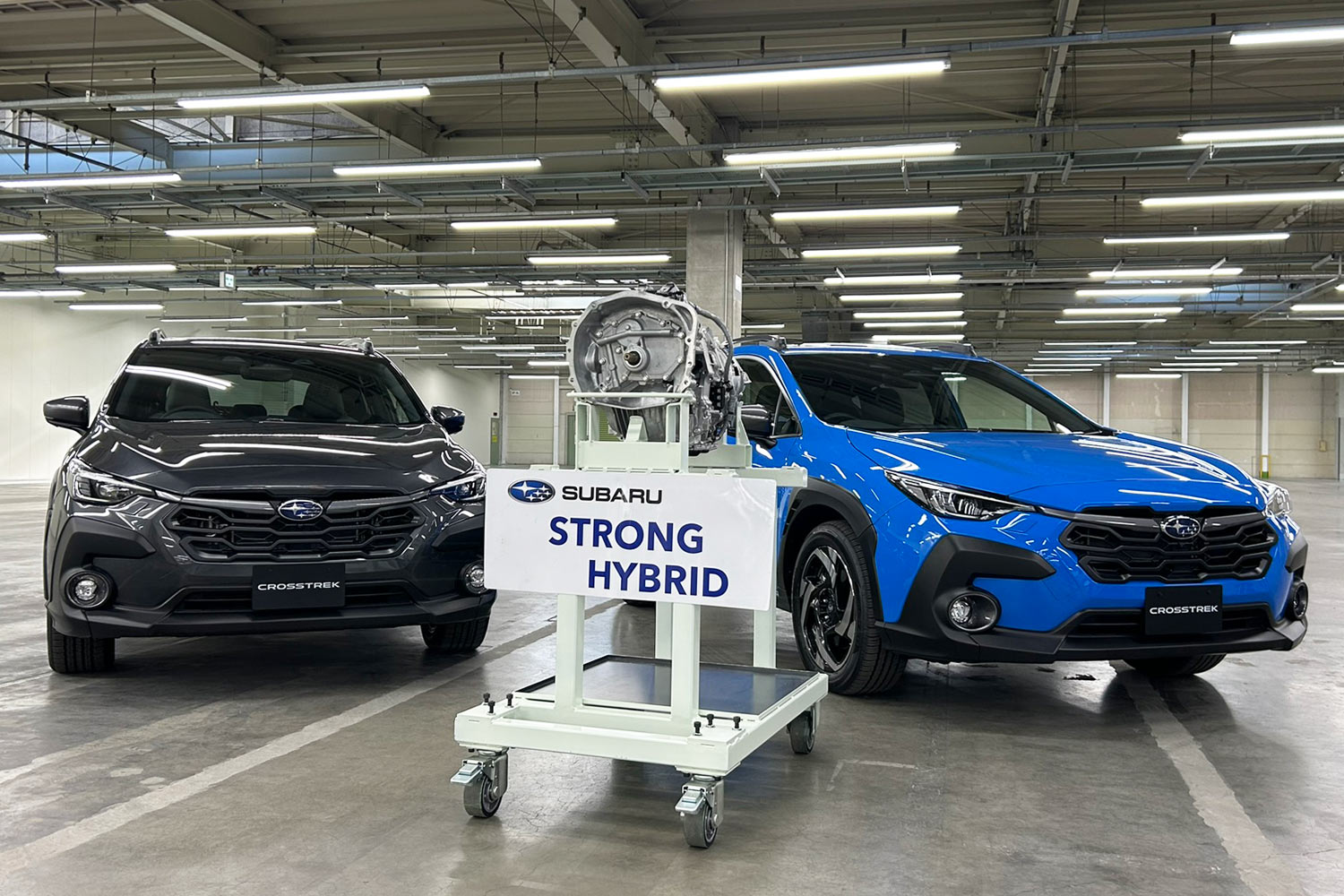 新世界生産年式年間2回限定商品キャンペーン中※最新在庫毎日更新 （LNG  