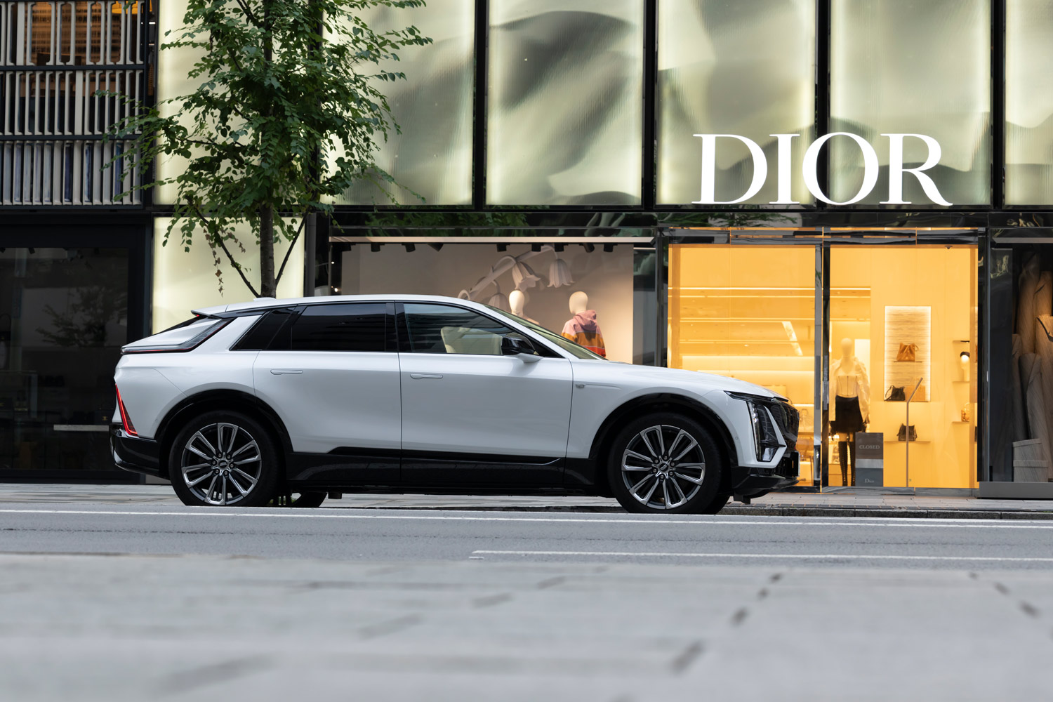 2025年の“推しグルマ”を発表！ 渡辺敏史の私的カー・オブ・ザ・イヤー