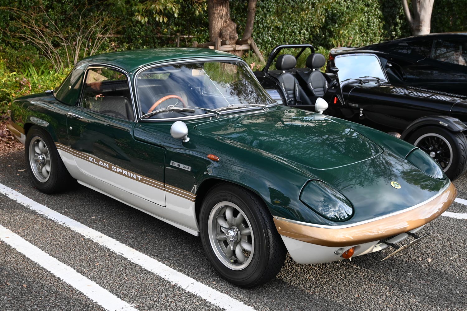 ブリキ 昭和40年代物 ロータス車 2025年最新】Yahoo!オークション -ロータス(lotus)(ブリキ)の中古品