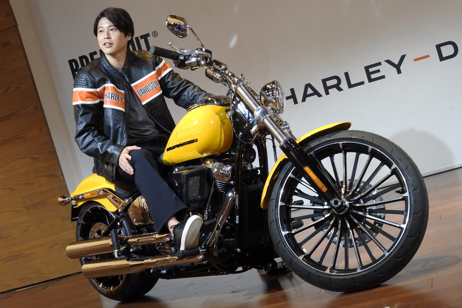 ダイキャストプロモーションズ ハーレー MLB モデルバイク