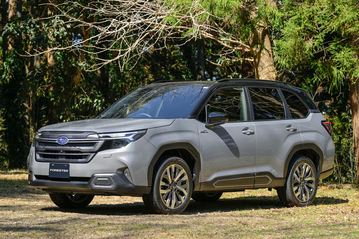 1〜2本分 スバル フォレスターSLスポーツ 純正ホイールNo.1 スバル