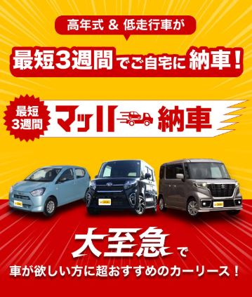 定額カルモ君